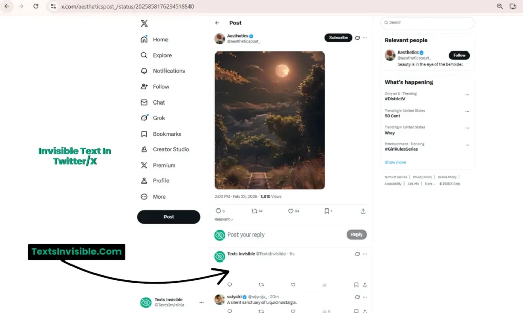 Blank Tweets and Spacing on Twitter