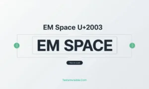 EM Space